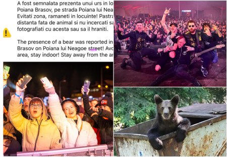 Festival cu Ro-Alert despre ursi treziti din hibernare de muzica, la Massif, <span style='background:#EDF514'>POIANA BRASOV</span>!  Nici drogurile nu au lipsit!