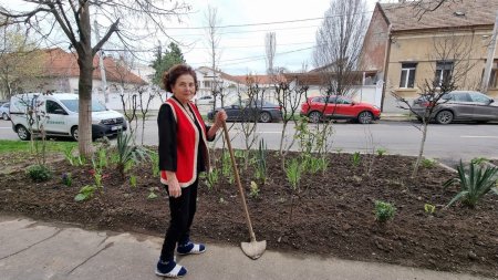 Exemplu de spirit civic la 91 de ani! Doamna Doina, fosta invatatoare, isi ingrijeste cu entuziasm spatiul verde din fata casei, in Oradea