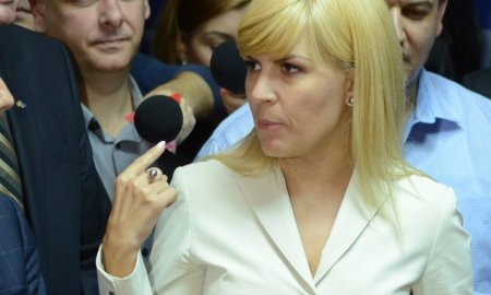 Elena Udrea spune ca directorul ANP nu vrea ca detinutii sa munceasca