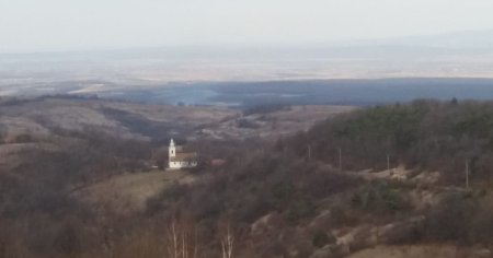 Vasoaia, catunul de la portile cerului. Fructele si magiunul au hranit armata si locuitorii din Israel, Franta si Anglia FOTO