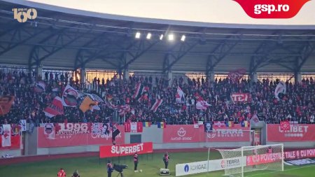 FC Hermannstadt - Dinamo » Galeria cainilor, in numar mare pe stadionul din Sibiu