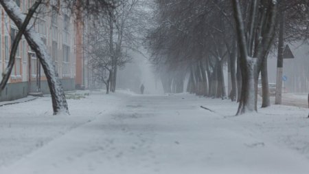 Revin ninsorile in Romania! ANM anunta un val de aer polar peste tara noastra | Zonele in care se va depunde strat de zapada