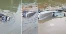 Doi adolescenti au luat masina familiei si au cazut cu ea intr-un lac din Rosia Montana. Baietii au reusit sa se salveze
