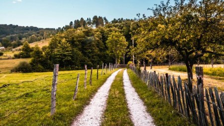 Povestea lui Nea Ion, 71 de ani, singurul locuitor al satului Merdeala. Mi-a fost scris sa traiesc aici, si aici voi ramane pana la sfarsit