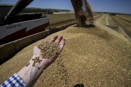 UE loveste pentru prima data sectorul agricol din Rusia. Vor fi impuse tarife la importurile de cereale pentru a-i c<span style='background:#EDF514'>ALMA</span> pe fermierii din Europa de Est