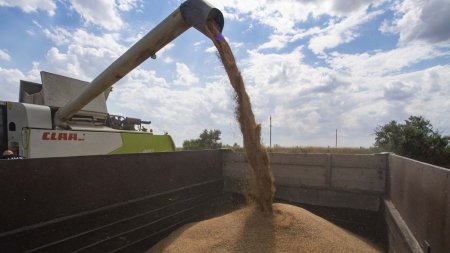 Uniunea Europeana va impune taxe la importurile de cereale din Rusia si Belarus