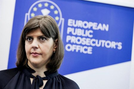 <span style='background:#EDF514'>LAURA</span> Kovesi: O organizatie criminala din Romania a folosit fondurile UE destinate dezvoltarii Deltei Dunarii pentru alte proiecte