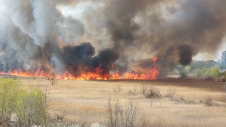 Incendiu puternic in Delta Vacaresti. Pompierii ISU Bucuresti-Ilfov intervin cu sase autospeciale