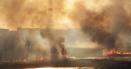 Incendiu puternic in <span style='background:#EDF514'>DELTA VACARESTI</span>. Exista risc de propagare