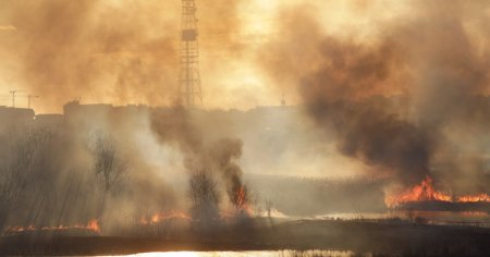 Incendiu puternic in Delta Vacaresti. Exista risc de propagare