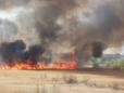 Incendiu de amploare in Delta Vacaresti. 1.000 de metri patrati afectati, pompierii intervin cu 11 autospeciale