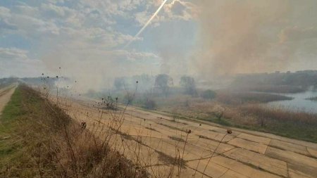 Incendiu urias in <span style='background:#EDF514'>DELTA VACARESTI</span>. Focul se intinde pe aproximativ 7.000 de metri patrati