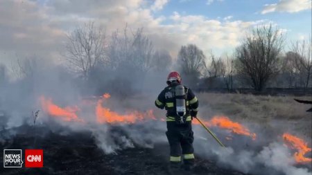 Peste 10.000 de metri patrati de vegetatie au ars in Delta Vacaresti