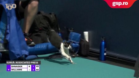 O pisica a intrerupt meciul de la Miami Open dintre Diana Shnaider si Venus Williams