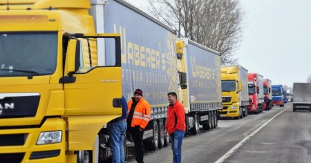 Ce produse exporta Romania si in ce tari: segmentul a inregistrat o crestere usoara in ultimele trei luni