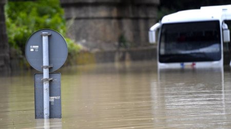 Inteligenta artificiala poate prezice inundatiile cu o saptamana inainte. Anuntul facut de Google