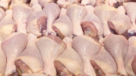 Produse din carne de pasare infestate cu Salmonella, descoperite intr-un mare lant de magazine din Romania