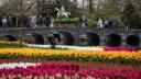 Cea mai mare gradina de lalele din lume, deschisa la <span style='background:#EDF514'>ANIVERSAREA</span> a 75 de ani de existenta. Imagini din Parcul Keukenhof cu milioane de flori