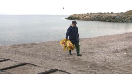 <span style='background:#EDF514'>PESCAR</span>ii romani nu mai prind nimic in Marea Neagra. De ce au disparut pestii