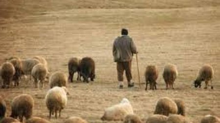 Cat castiga un cioban in Italia: Am ales libertatea, am ales sa fiu in contact cu natura