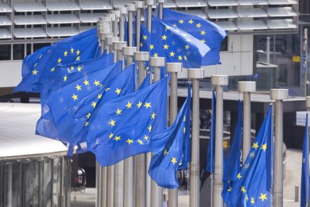 Uniunea Europeana a decis deschiderea <span style='background:#EDF514'>NEGOCIERI</span>lor de aderare cu Bosnia si Hertegovina