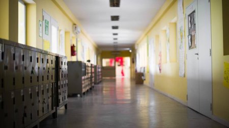 Invazie de plosnite in scolile din Bucuresti! Toate unitatile de invatamant din Sectorul 5 vor fi inchise luni pentru dezinsectie