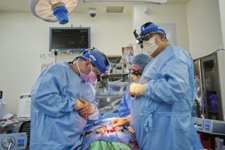 Transplant de rinichi de la porc la om, in SUA