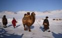 <span style='background:#EDF514'>MONGOLIA</span>, lovita de cea mai grea iarna din ultimii 50 de ani: milioane de animale au murit, mii de oameni, la limita supravietuirii