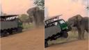 Momentul in care un camion de <span style='background:#EDF514'>SAFAR</span>i plin cu turisti este atacat de un elefant furios, in Africa de Sud