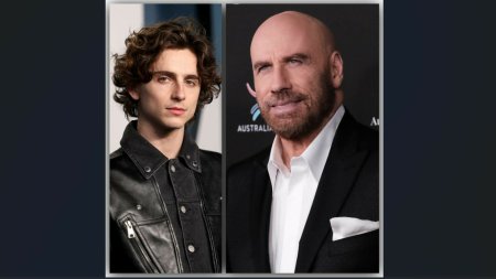 Timothée Chalamet este actorul care a depasit un record stabilit de <span style='background:#EDF514'>JOHN TRAVOLTA</span> acum 50 de ani