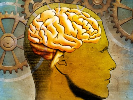 Un cercetator in neuro<span style='background:#EDF514'>STIINTE</span> dezvaluie 5 obiceiuri simple pentru imbunatatirea memoriei