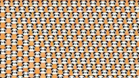 Doar persoanele cu un IQ ridicat pot descoperi un panda trist in 10 secunde in aceasta iluzie optica