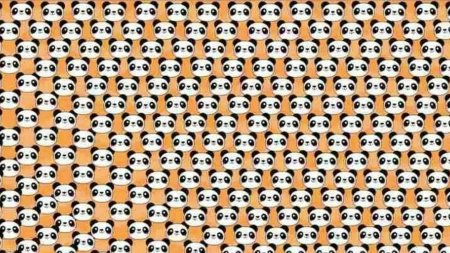 Doar persoanele cu un IQ ridicat pot descoperi un <span style='background:#EDF514'>PANDA</span> trist in 10 secunde in aceasta iluzie optica