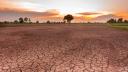 Stare de catastrofa, declarata in Malawi. Milioane de locuitori risca sa moara de foame din cauza secetei produse de <span style='background:#EDF514'>EL NINO</span>