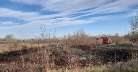 Noua incendii de vegetatie, intr-o singura zi. Peste 19 hectare de teren afectate in Dambovita