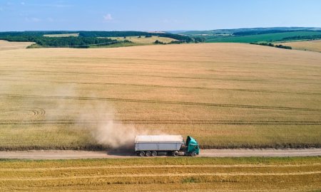 Exporturile de cereale ale Romaniei, in scadere cu peste 4%, in 2023