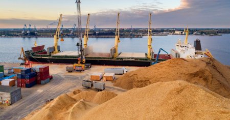 Exporturile romanesti de cereale au scazut cu peste 4% in 2023