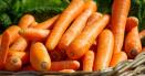 Ce sa pui la <span style='background:#EDF514'>RADAC</span>ina morcovilor ca sa creasca mari si suculenti. Vei avea cea mai buna cultura