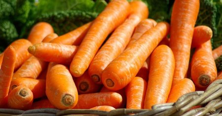 Ce sa pui la radacina morcovilor ca sa creasca mari si suculenti. Vei avea cea mai buna cultura