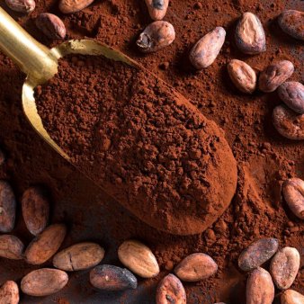Tona de cacao a ajuns la un pret record, 10.000 de dolari