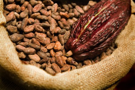 CNBC: Pretul pentru cacao a urcat in premiera la peste 10.000 de dolari pe tona; Ce inseamna cresterea pentru consumatori si de ce ce este mai rau urmeaza sa vina