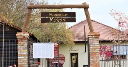 Murani, satul inconjurat de dealuri, a devenit una din cele mai cautate zone de relaxare din Timis VIDEO FOTO