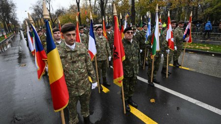 Efectul NATO pentru Romania. Pirvulescu: 