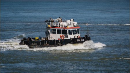 Parchetul European face perchezitii de amploare dupa achizitionarea frauduloasa de remorchere pentru Delta Dunarii
