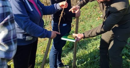 Detaliile unei actiuni fara precedent in Romania: padure plantata de la zero, de o armata de voluntari, la marginea unui oras