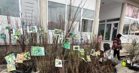 Pomii exotici au ajuns sa fie tot mai cultivati in zona de nord a Romaniei. La moda sunt smochinul si dafinul