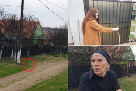 Reportaj. Prunul care a stricat linistea unui sat idilic: M-au amenintat ca-mi incendiaza casa, ca pun pe <span style='background:#EDF514'>CINEVA</span> sa ma violeze