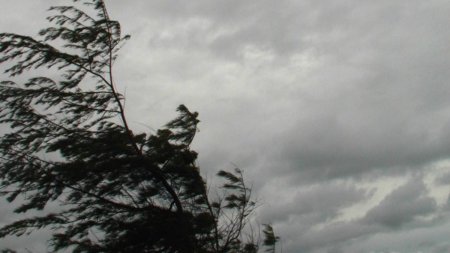<span style='background:#EDF514'>AVERTIZARE</span> meteo ANM: Cod galben de vant in mai multe localitati din tara