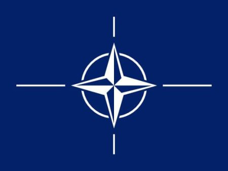 MAE lanseaza campania <span style='background:#EDF514'>BORN</span> in NATO