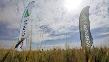 <span style='background:#EDF514'>AGRICOVER</span> Holding incheie 2023 cu profit net consolidat de 44 mil. lei. Compania anunta ca incepand cu 2024 vrea sa introduca distribuirea sub forma de dividende a 30% din profit